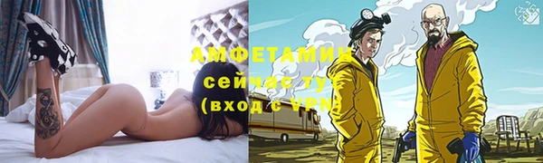 индика Семикаракорск