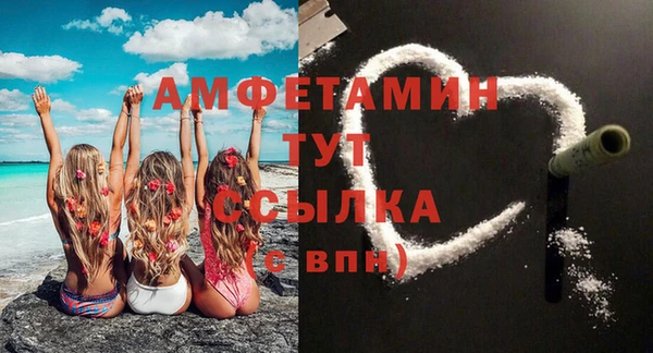 индика Семикаракорск