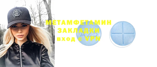 индика Дубна