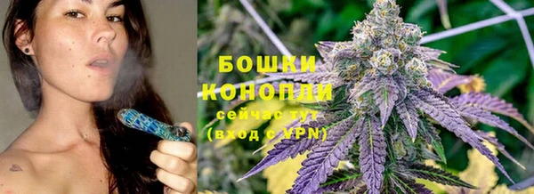 индика Семикаракорск