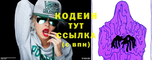 индика Семикаракорск