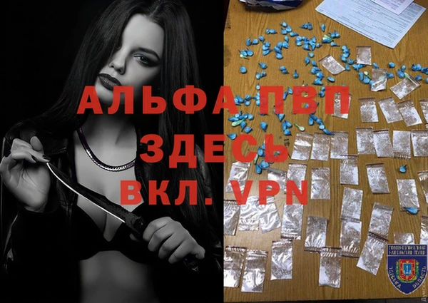 индика Семикаракорск