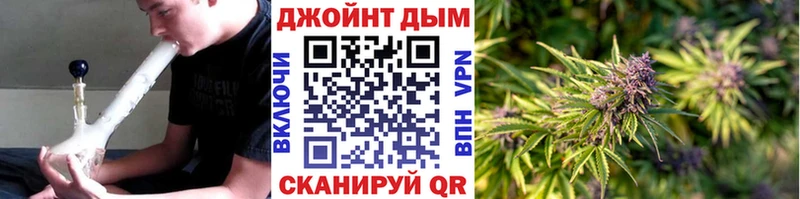 сколько стоит  Калининец  Марихуана семена 